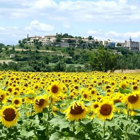 Villa Charmante A Lussan Avec Piscine Privee Et Jardin Closa